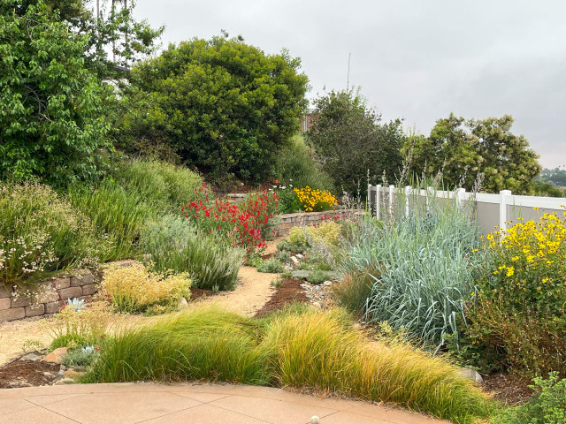 Tish's San Diego garden