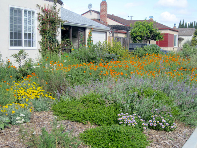 Goodbye lawn, hello garden!