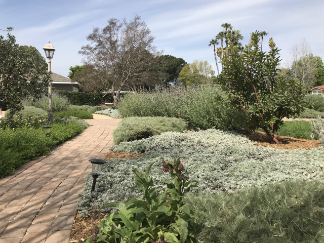 Coastal scrub gardens